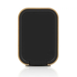 Braven Gold Wireless Speaker