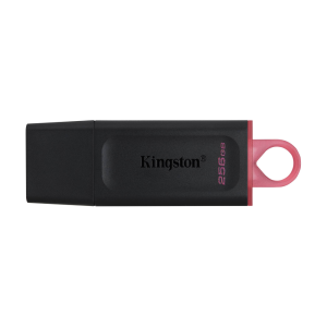 Kingston DataTraveler Exodia 256GB Flash Drive