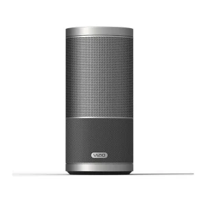 Google Cast Speaker CRAVE 360