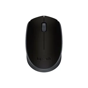 Logitech M171