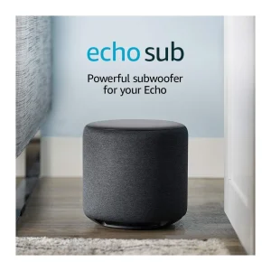 Amazon Echo Sub Speaker