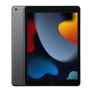 Apple iPad 9th Gen 10.2-inch Wi-Fi 256GB